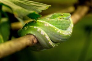 おまるは子どもに必要か？