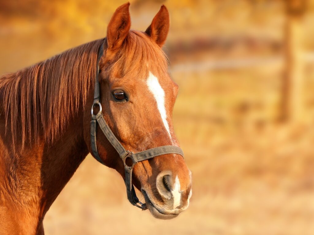 頭のサイズを測る方法とその重要性は？