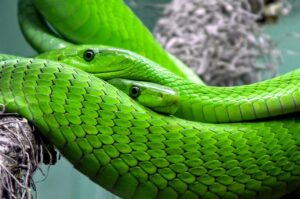 頭のサイズの測り方はどのようにすれば良いですか？