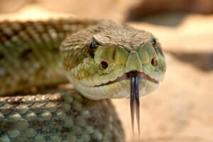 頭周りの測り方を正しく知るためのポイントは？