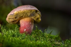 子供の食べこぼしをマットで掃除するのを楽にする方法は？