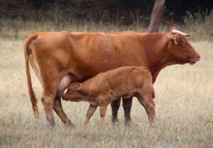 授乳室が混んでる時、ミルク派ママの賢い動き方は？